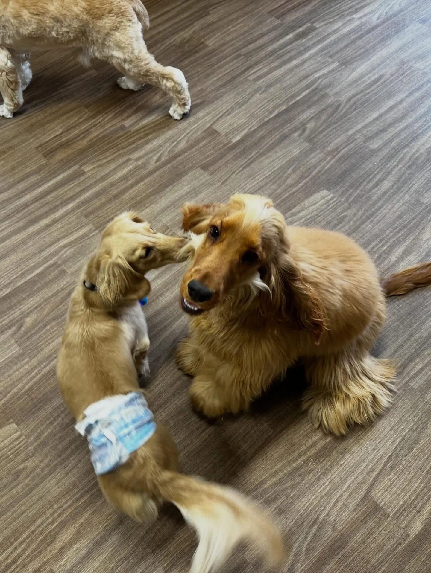 3月の営業カレンダーです❣️