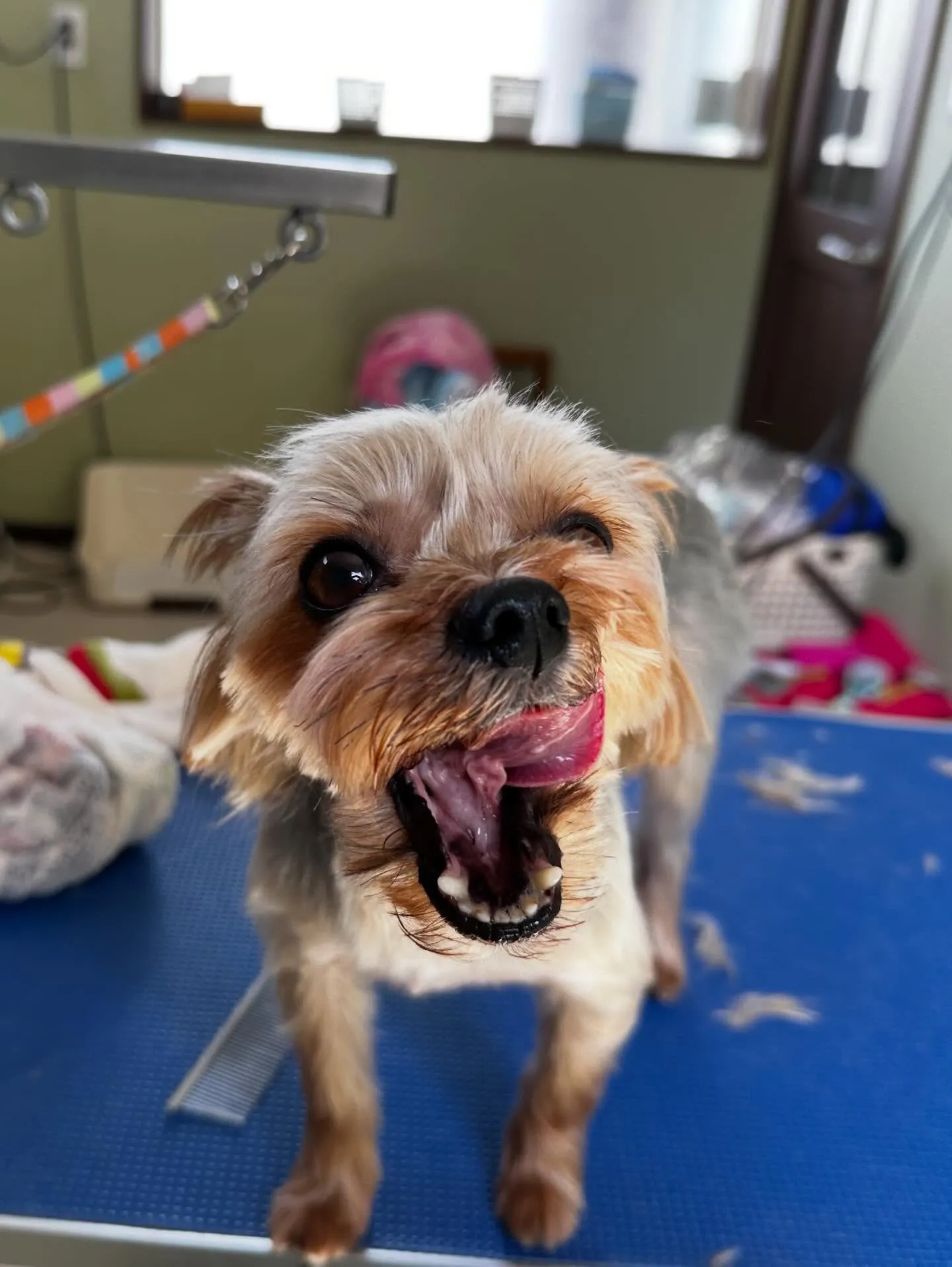 3月の営業カレンダーです❣️