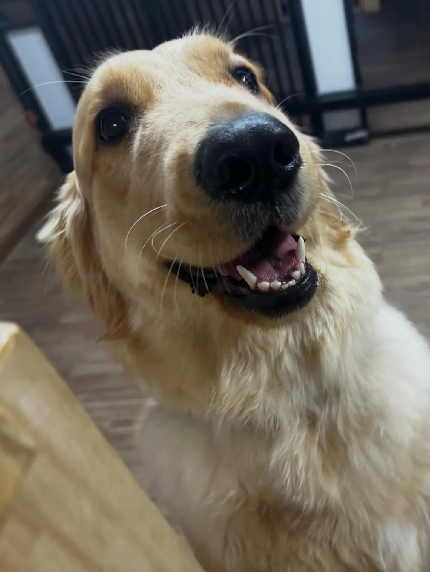 3月の営業カレンダーです❣️