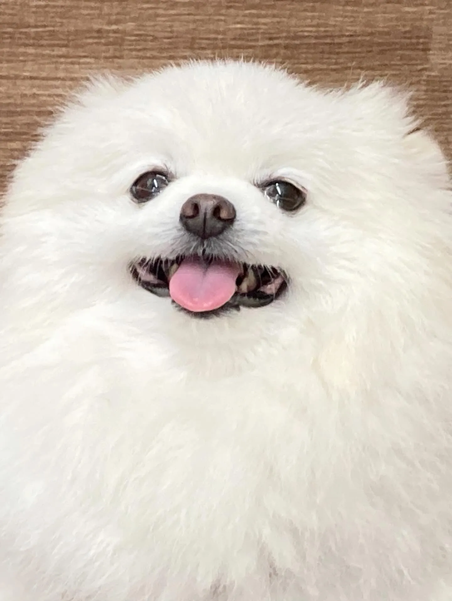 3月の営業カレンダーです❣️