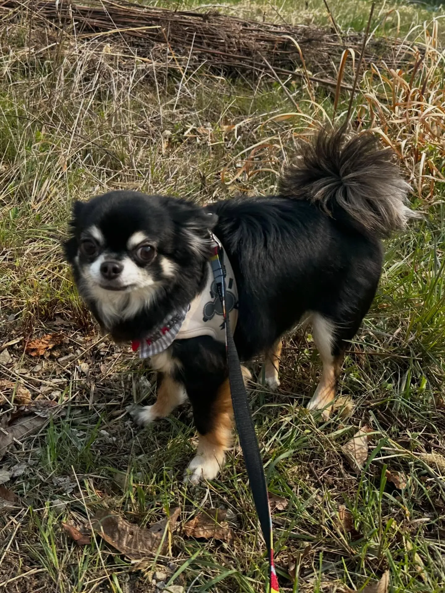3月の営業カレンダーです❣️