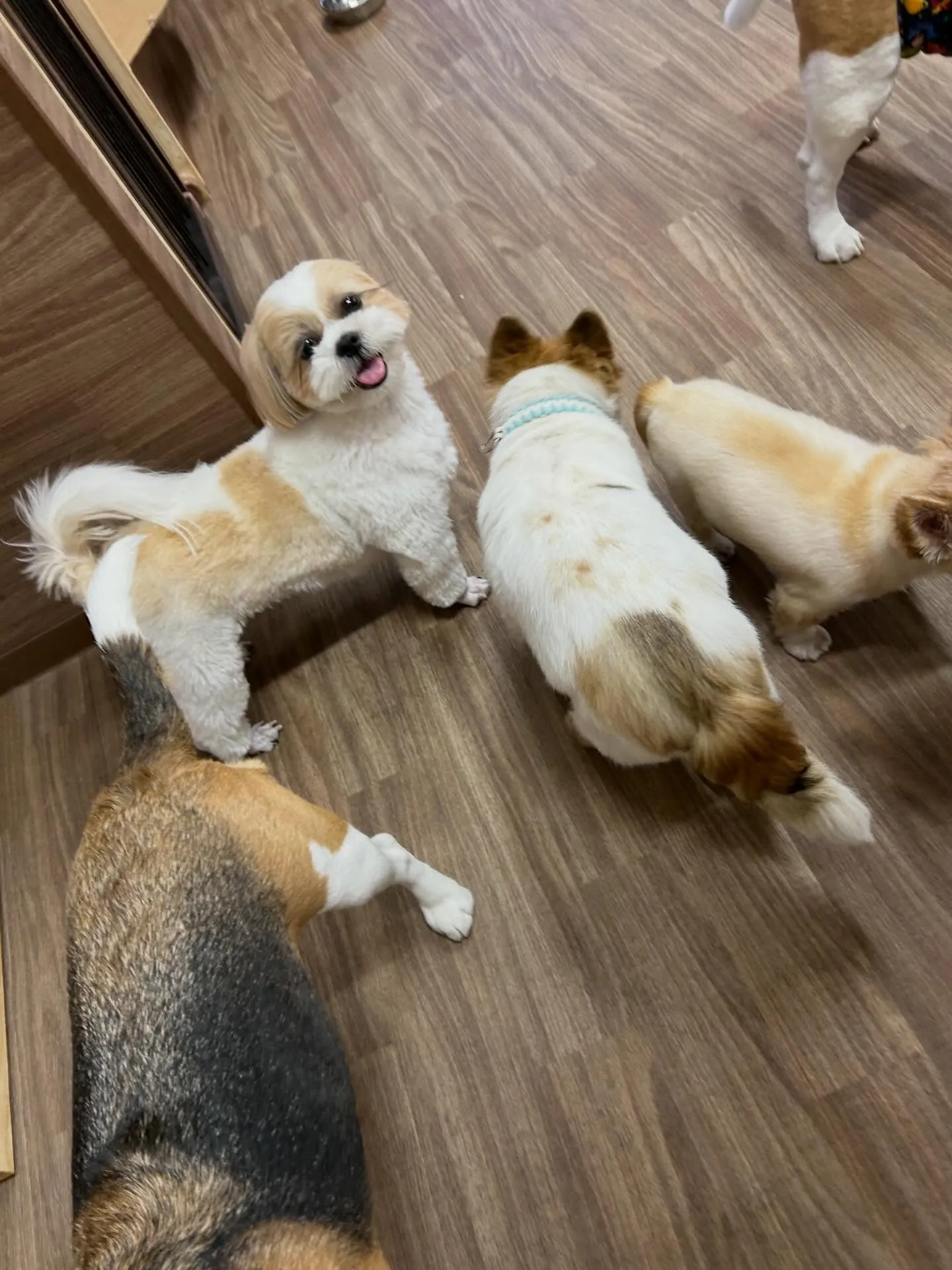 3月の営業カレンダーです❣️