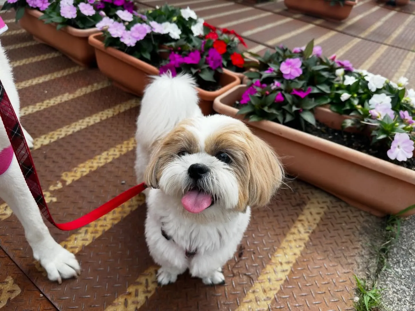 めちゃくちゃ遅ればせながら…