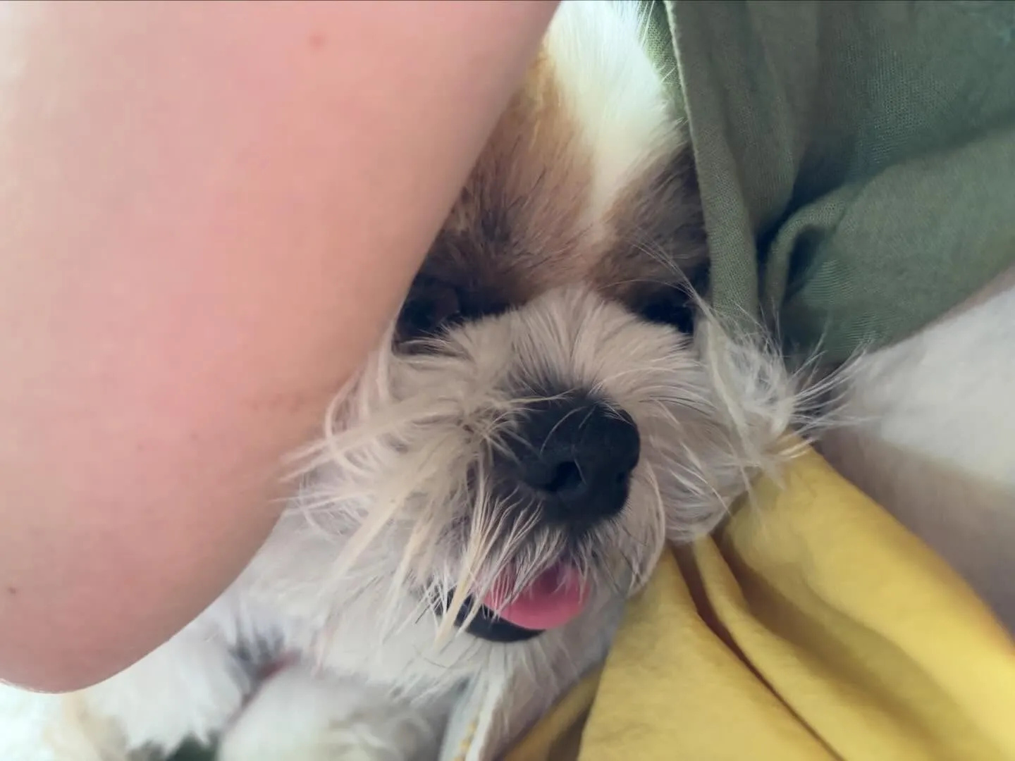 めちゃくちゃ遅ればせながら…