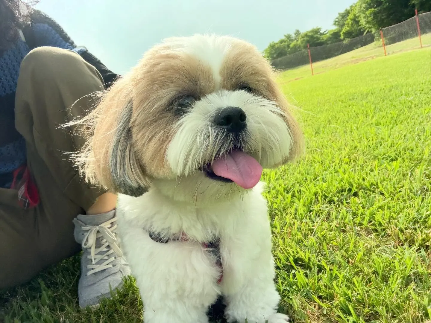 めちゃくちゃ遅ればせながら…