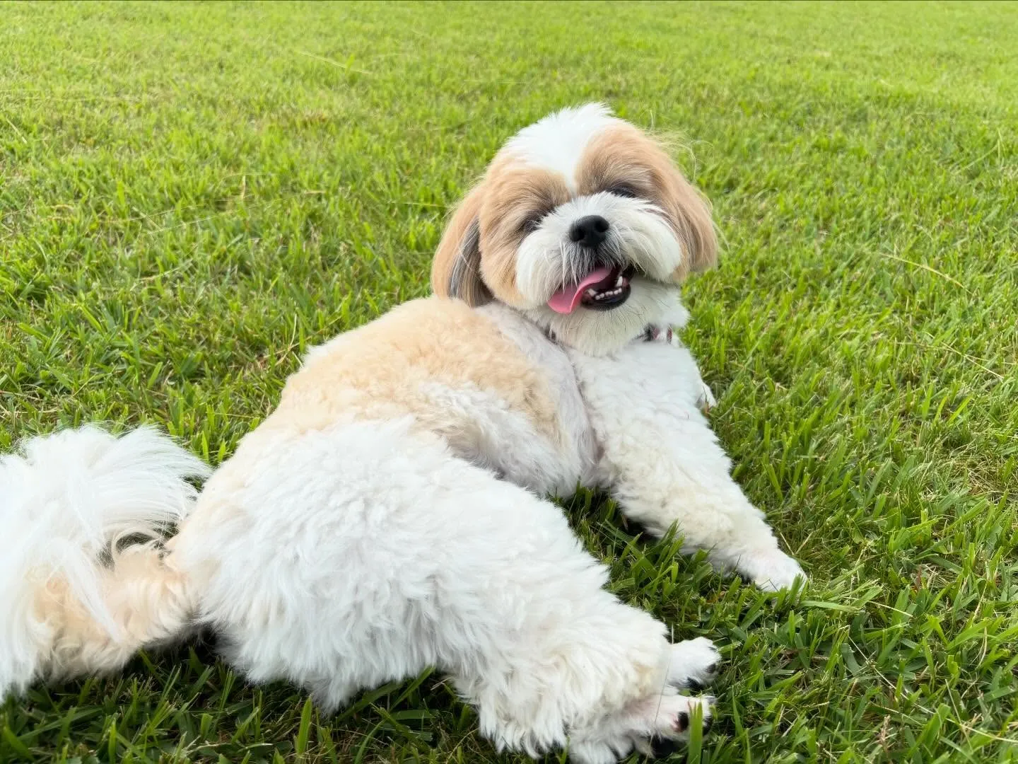 めちゃくちゃ遅ればせながら…