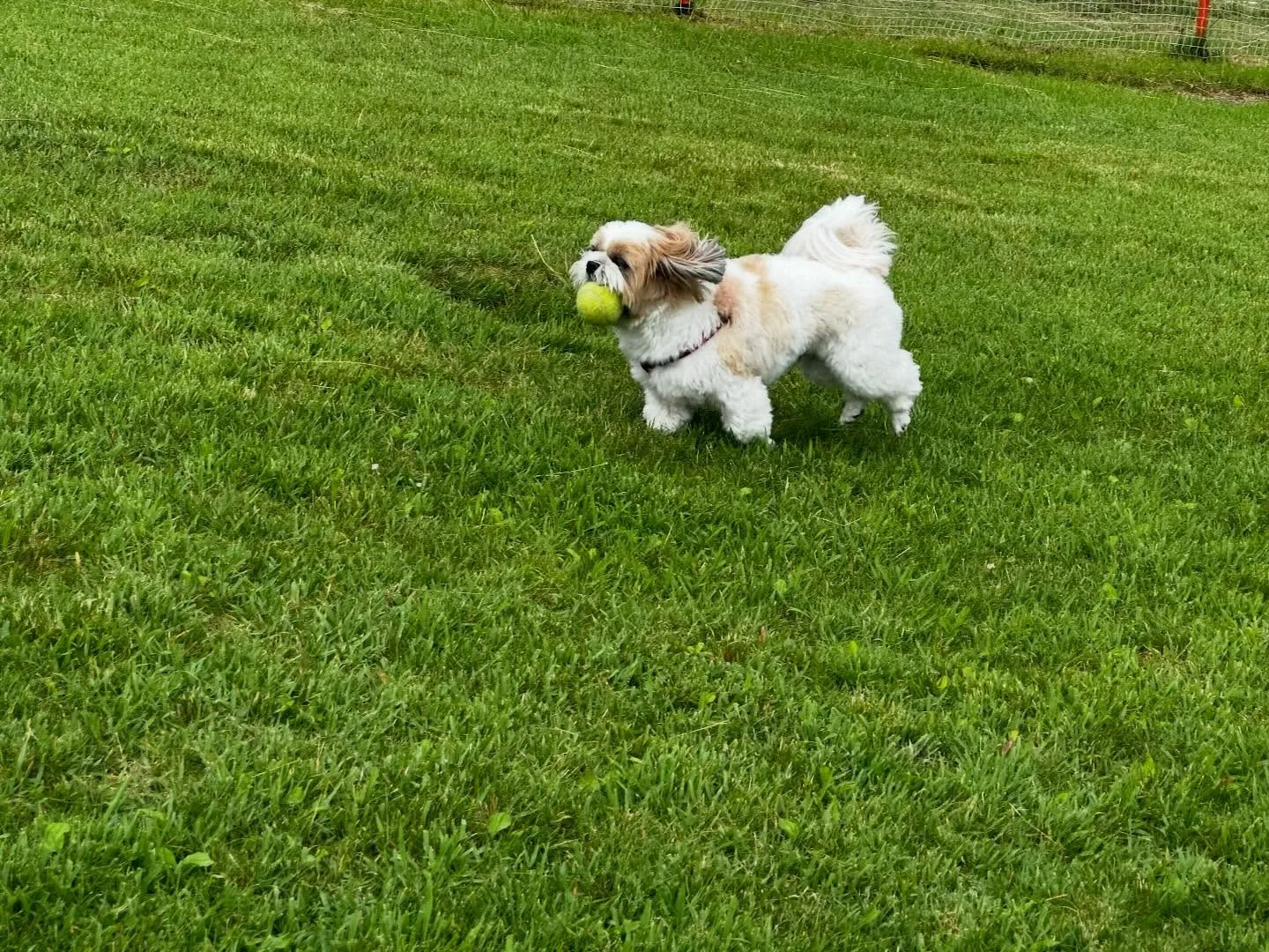 めちゃくちゃ遅ればせながら…