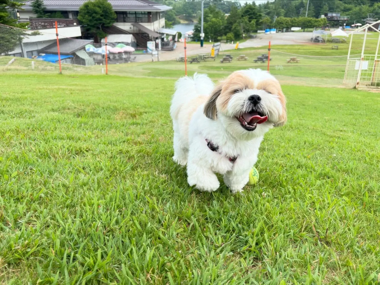 めちゃくちゃ遅ればせながら…