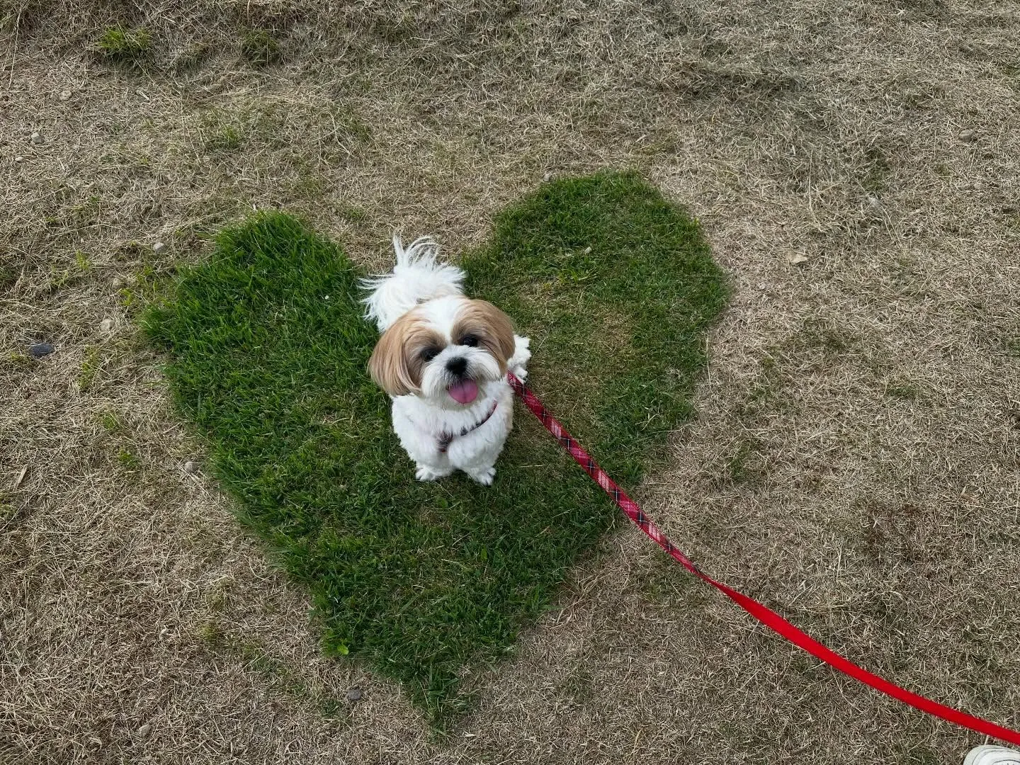 めちゃくちゃ遅ればせながら…