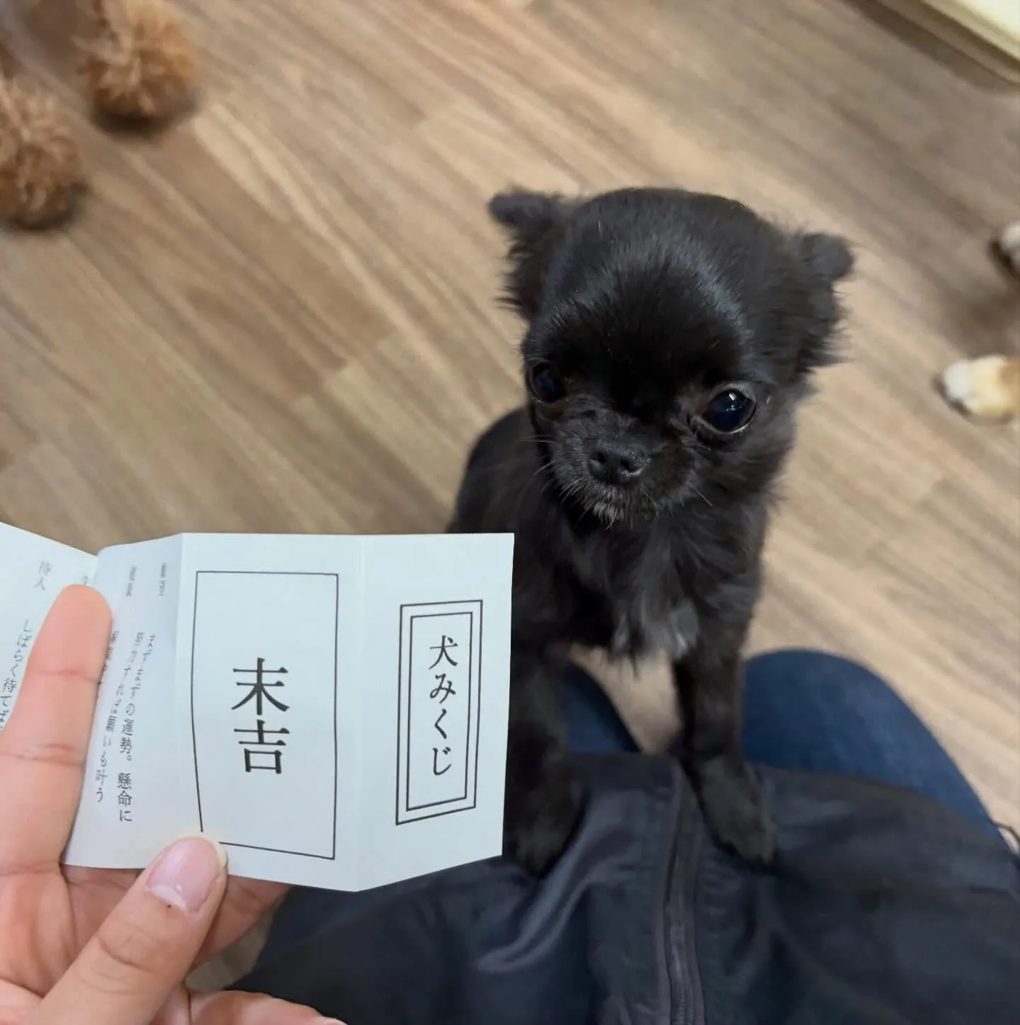 入会してくれたミグちゃんです💖