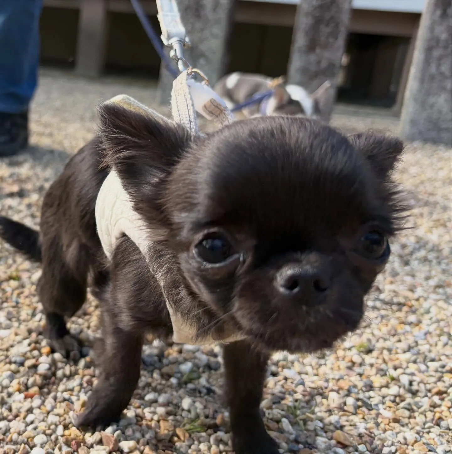 入会してくれたミグちゃんです💖