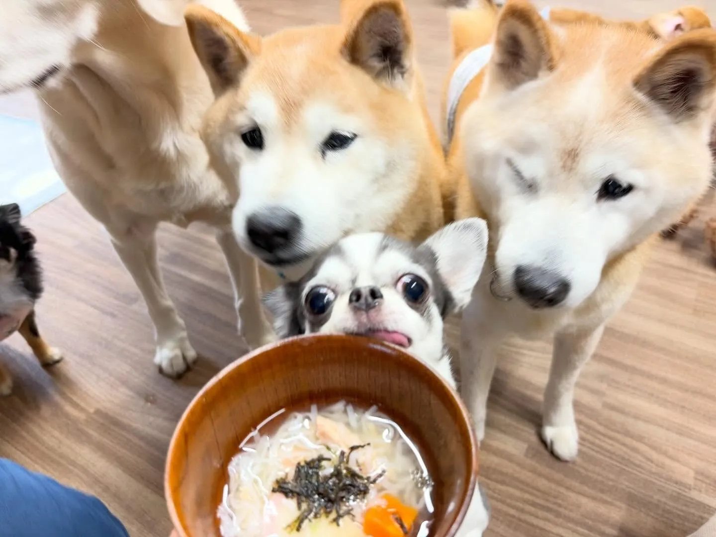 先日開催した新年イベントのアルバムが