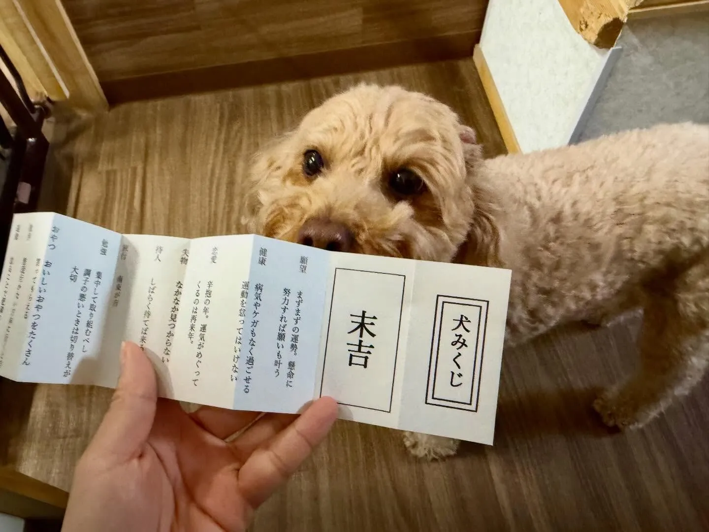 先日開催した新年イベントのアルバムが