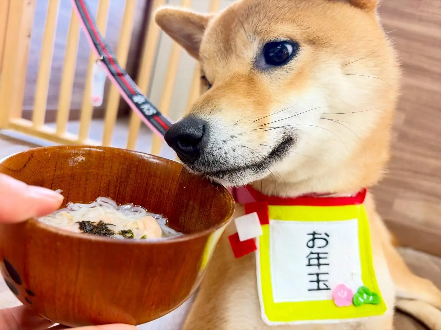 先日開催した新年イベントのアルバムが