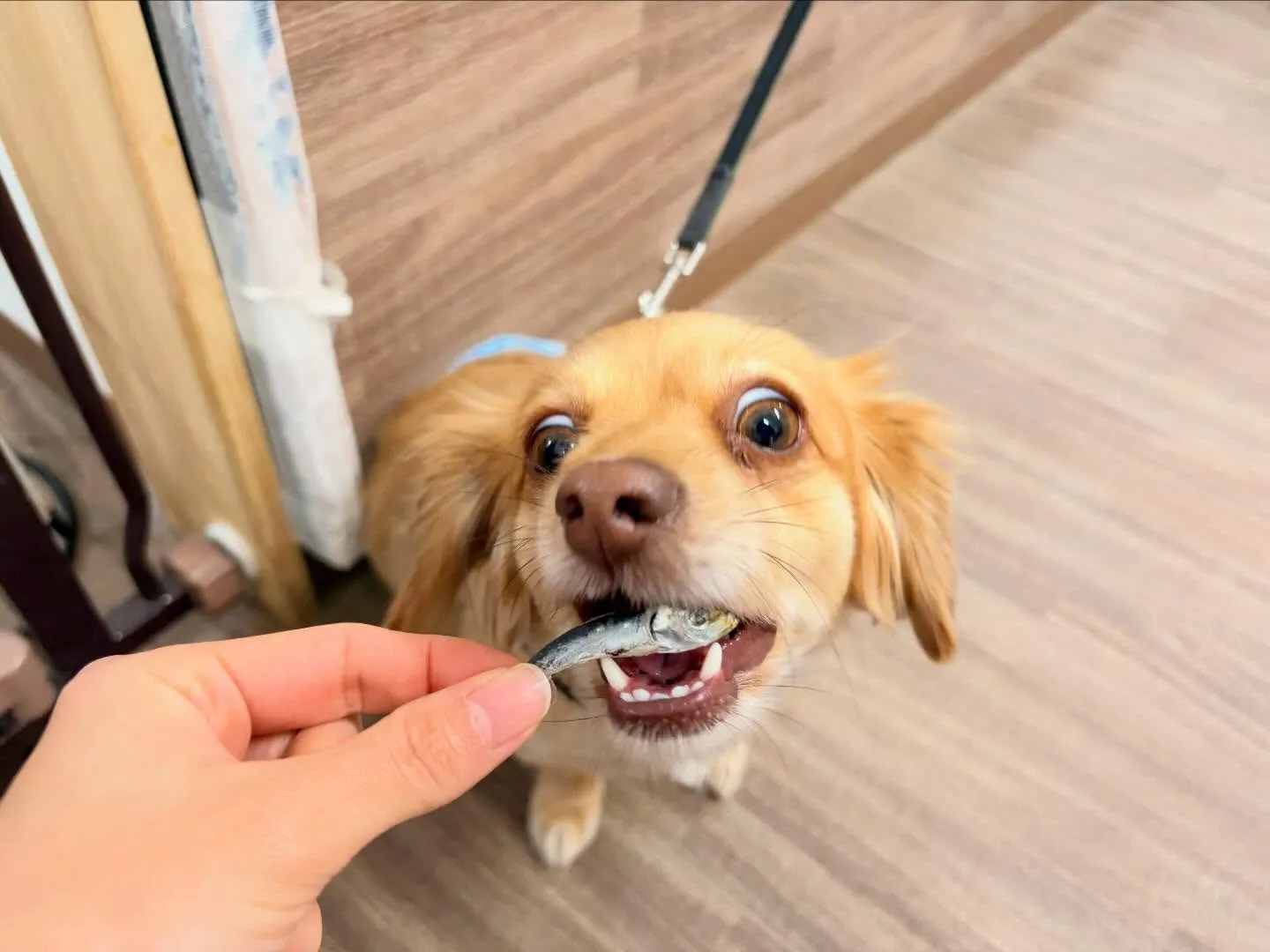 先日開催した新年イベントのアルバムが