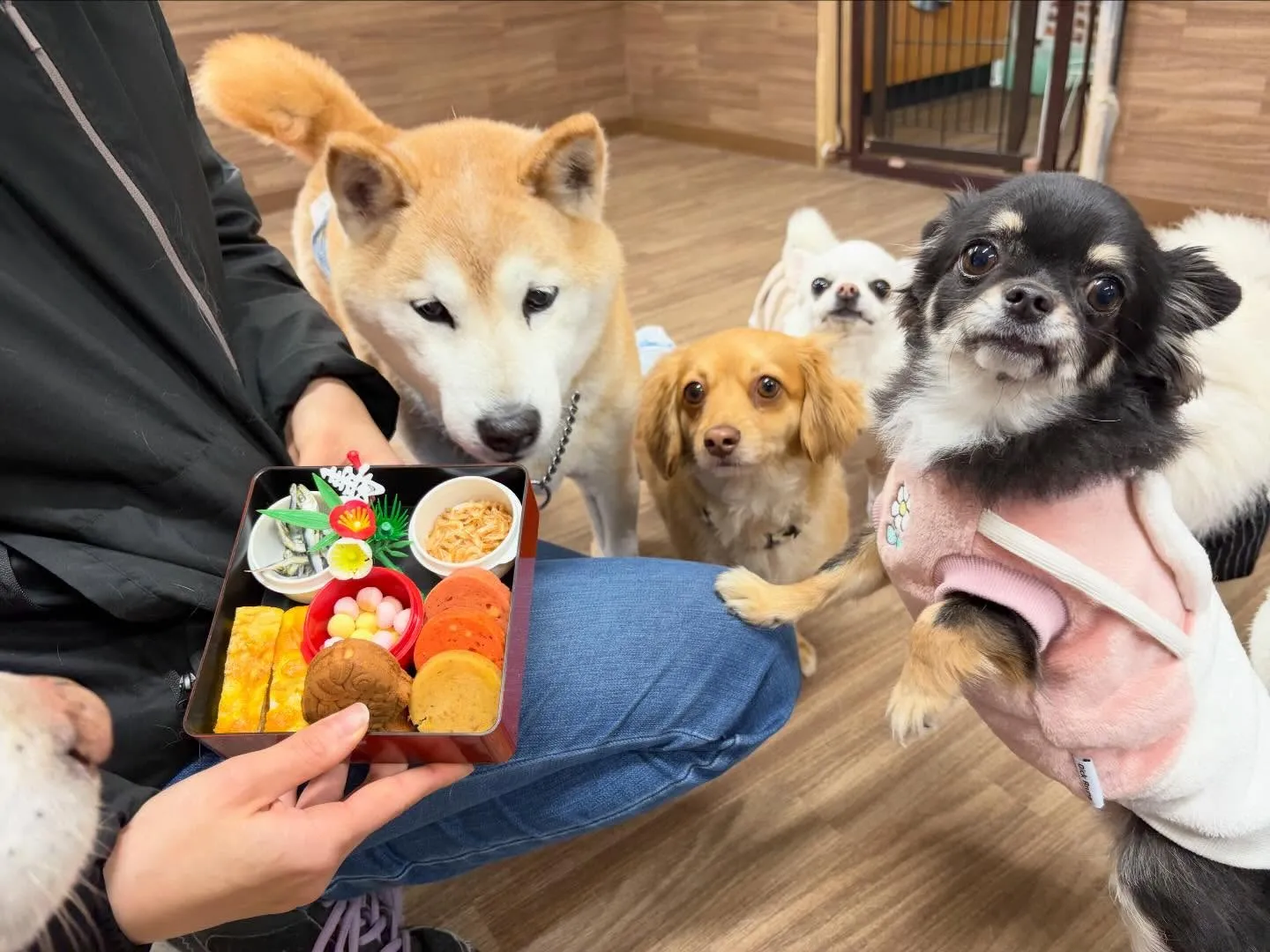 先日開催した新年イベントのアルバムが