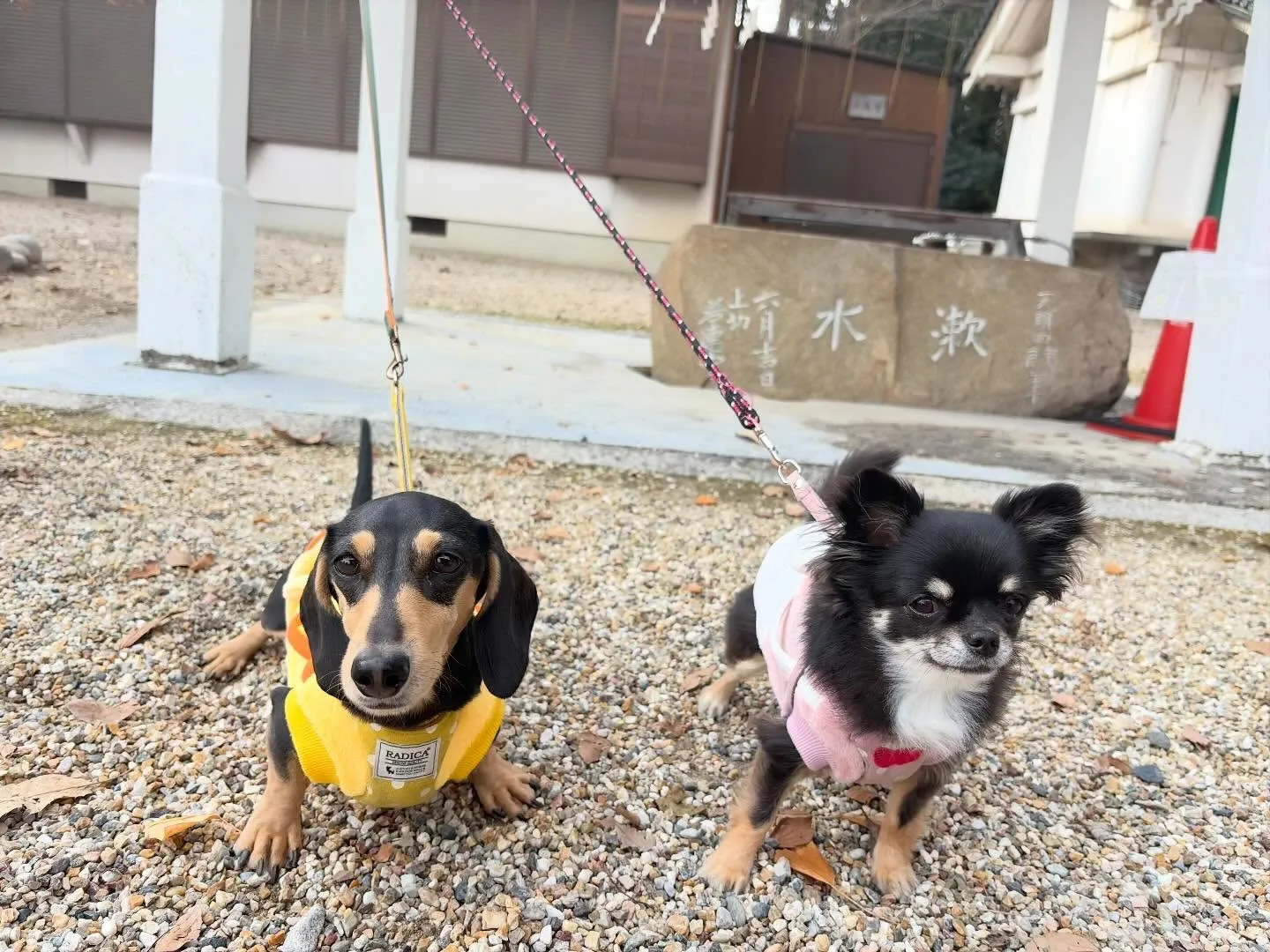 先日開催した新年イベントのアルバムが