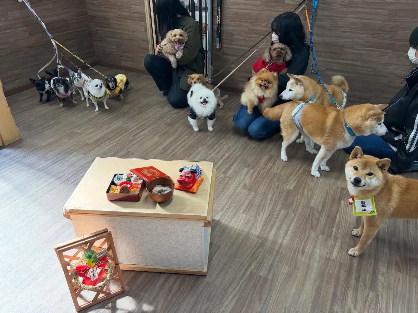 先日開催した新年イベントのアルバムが