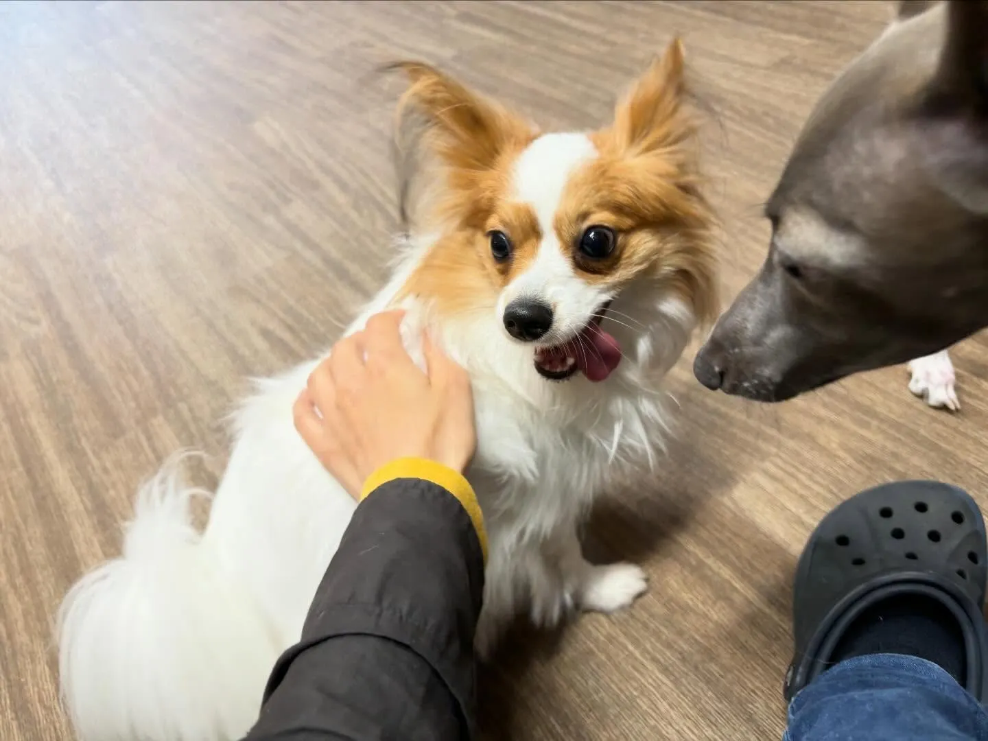 【落し物のご連絡】⁡