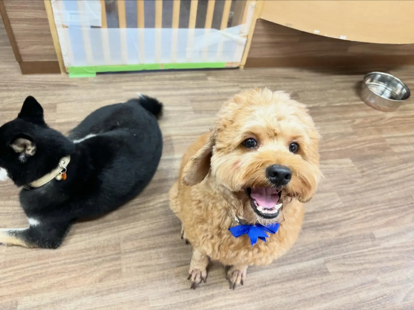 【落し物のご連絡】⁡