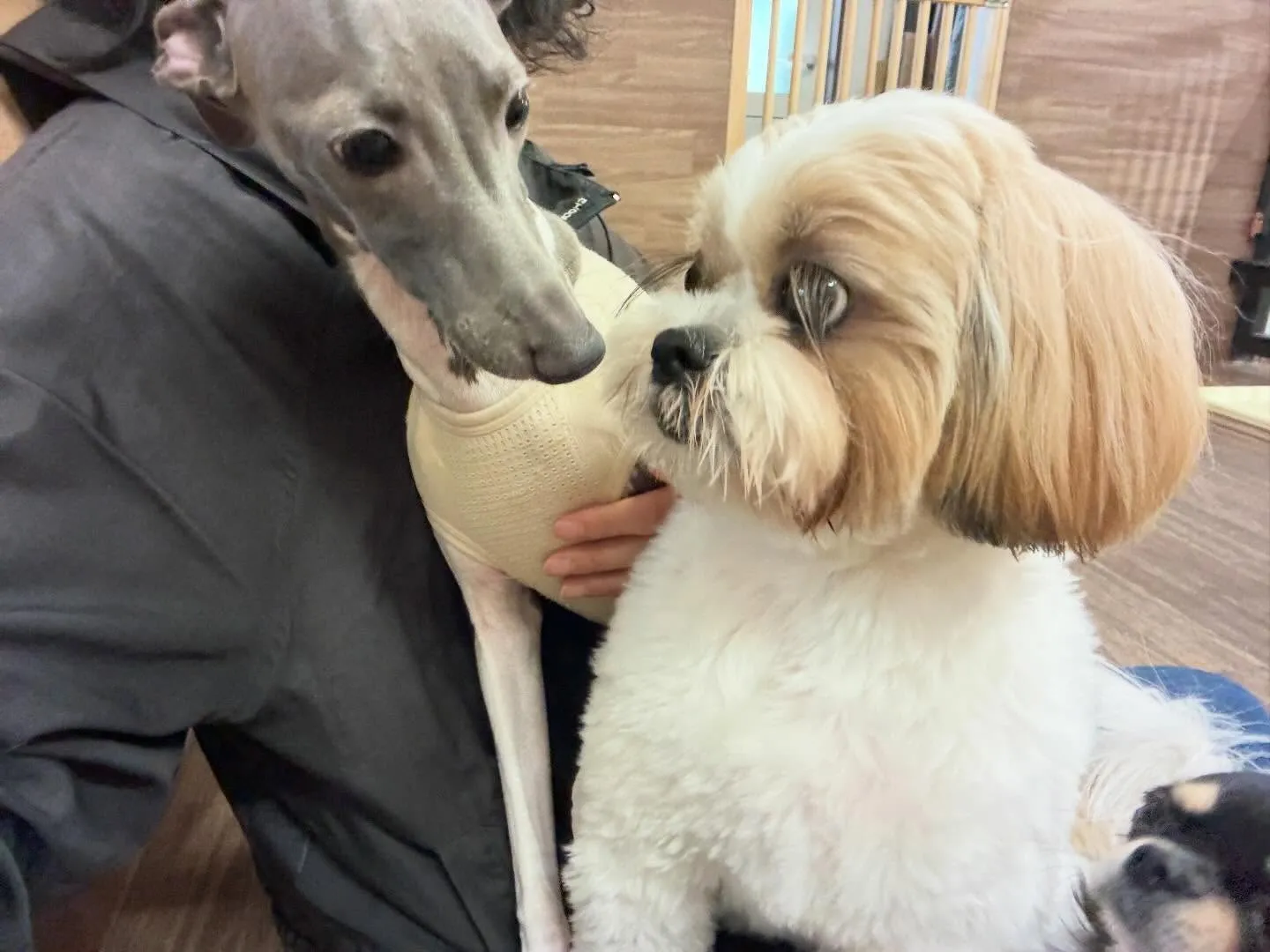 【落し物のご連絡】⁡