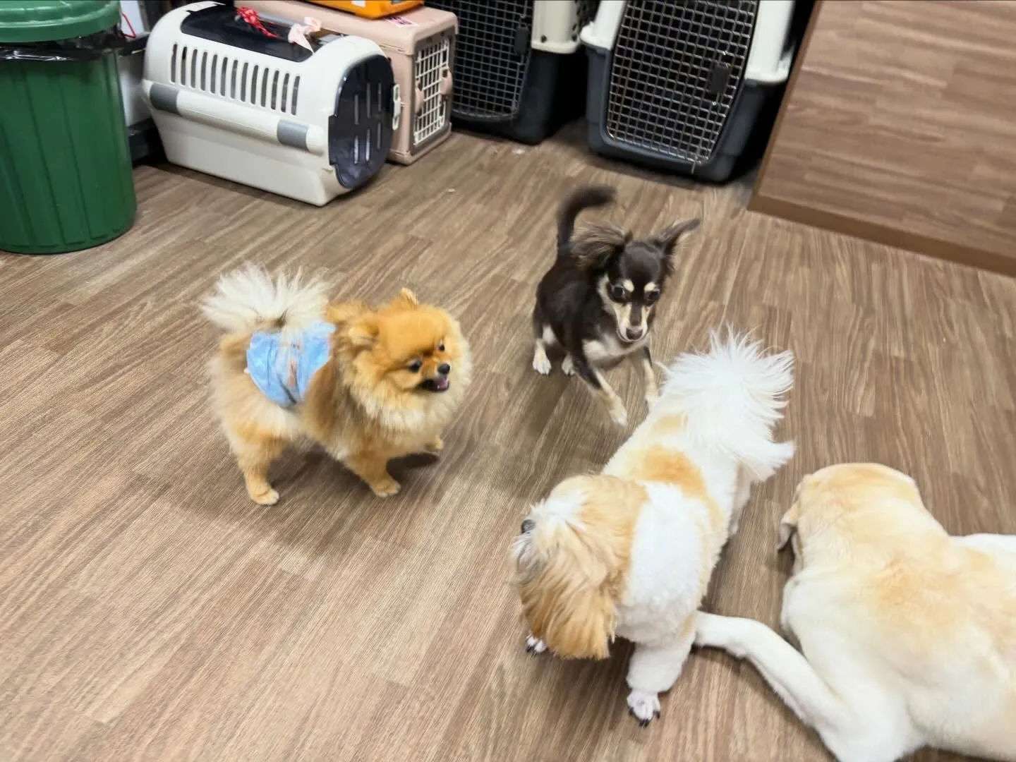 【落し物のご連絡】⁡