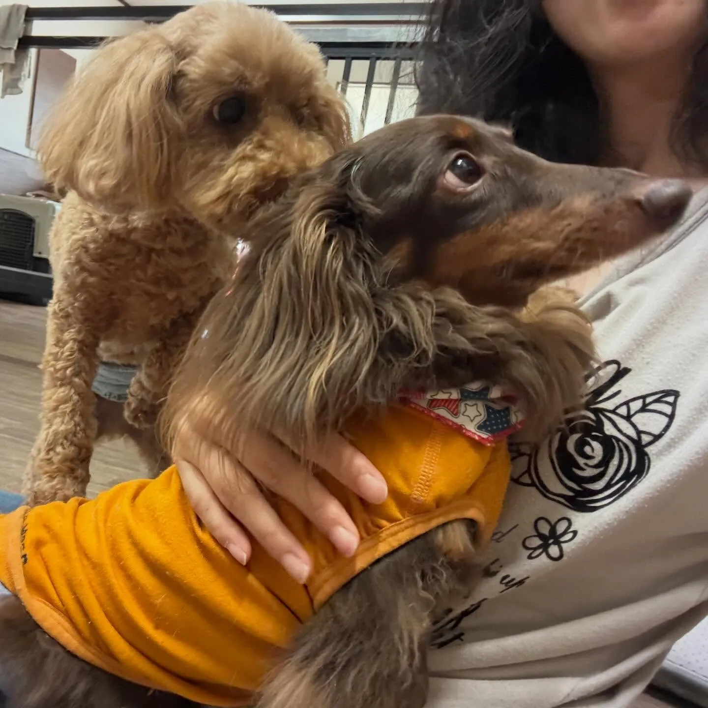 入会してくれたふくくんです❣️