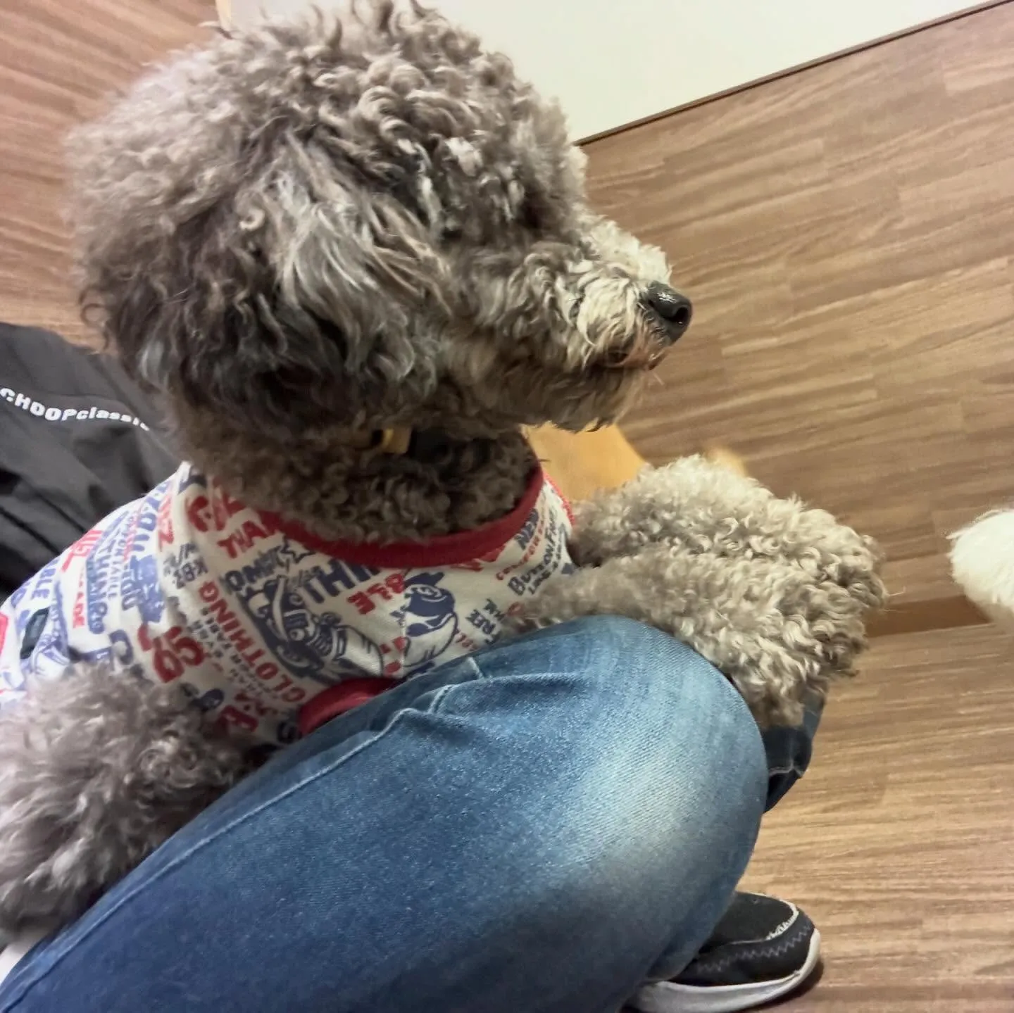 入会してくれたグクくんとヴィヴィくんです🌟