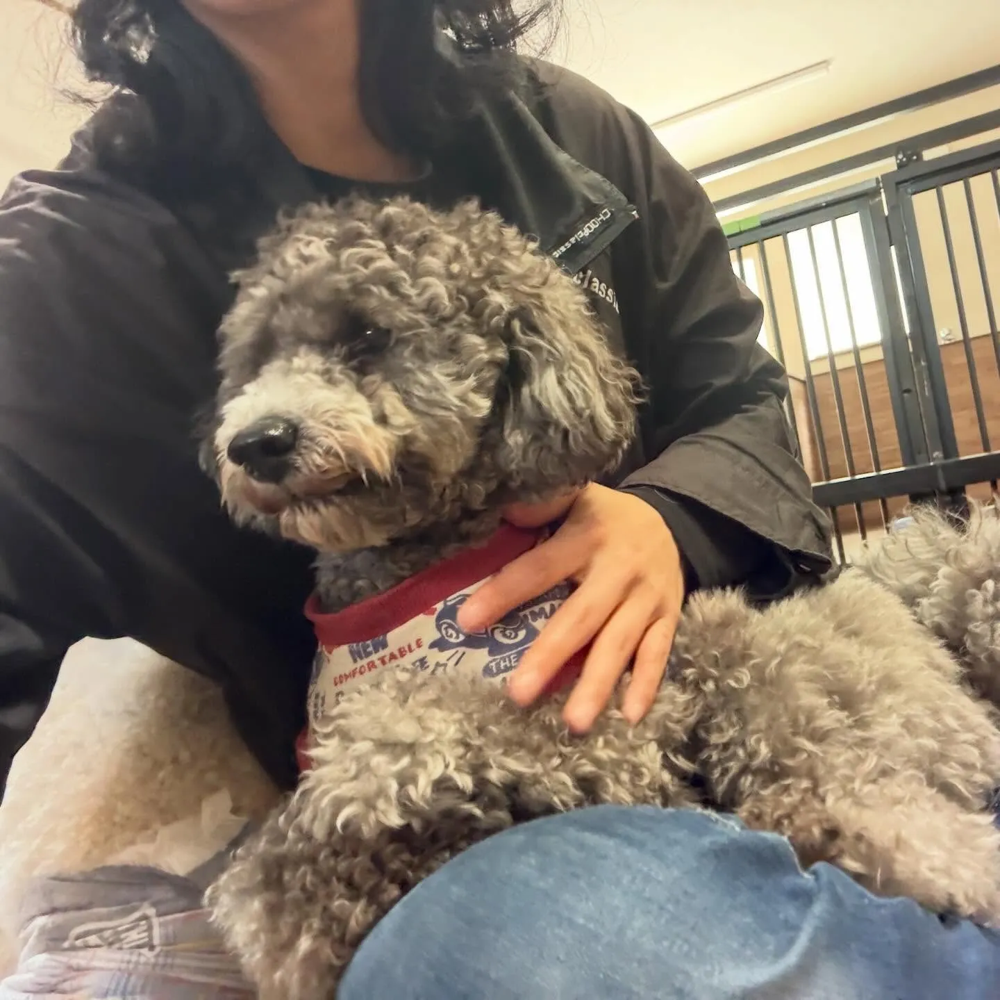 入会してくれたグクくんとヴィヴィくんです🌟