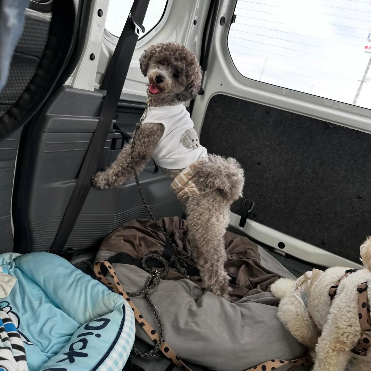 入会してくれたグクくんとヴィヴィくんです🌟