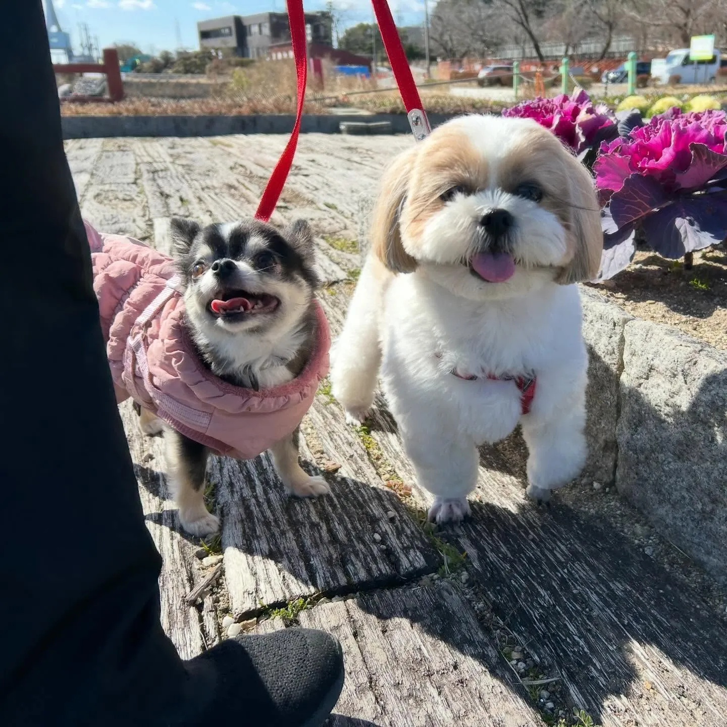 【バレンタインイベント予約受付開始】