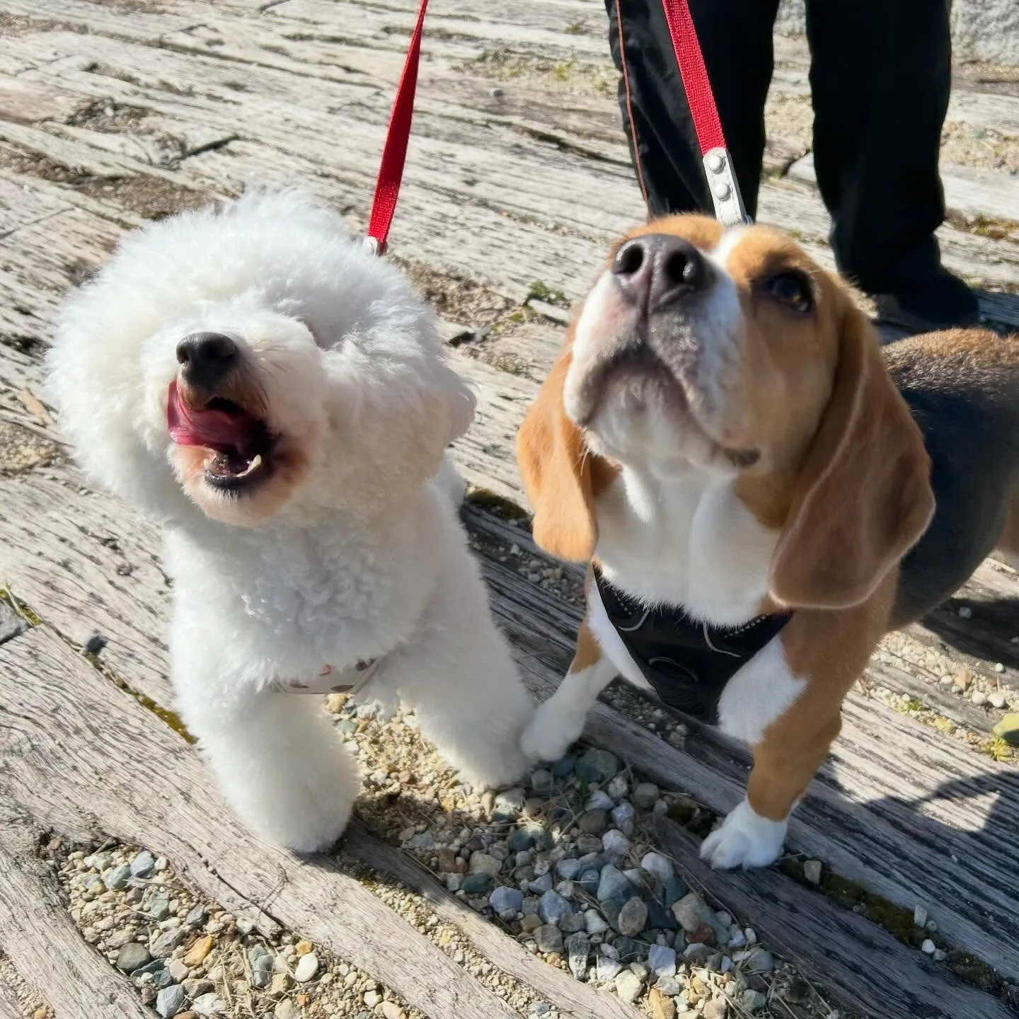 【バレンタインイベント予約受付開始】