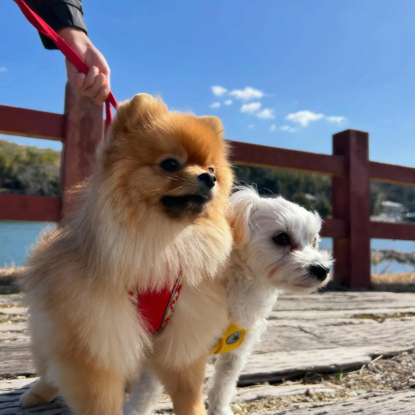 【バレンタインイベント予約受付開始】