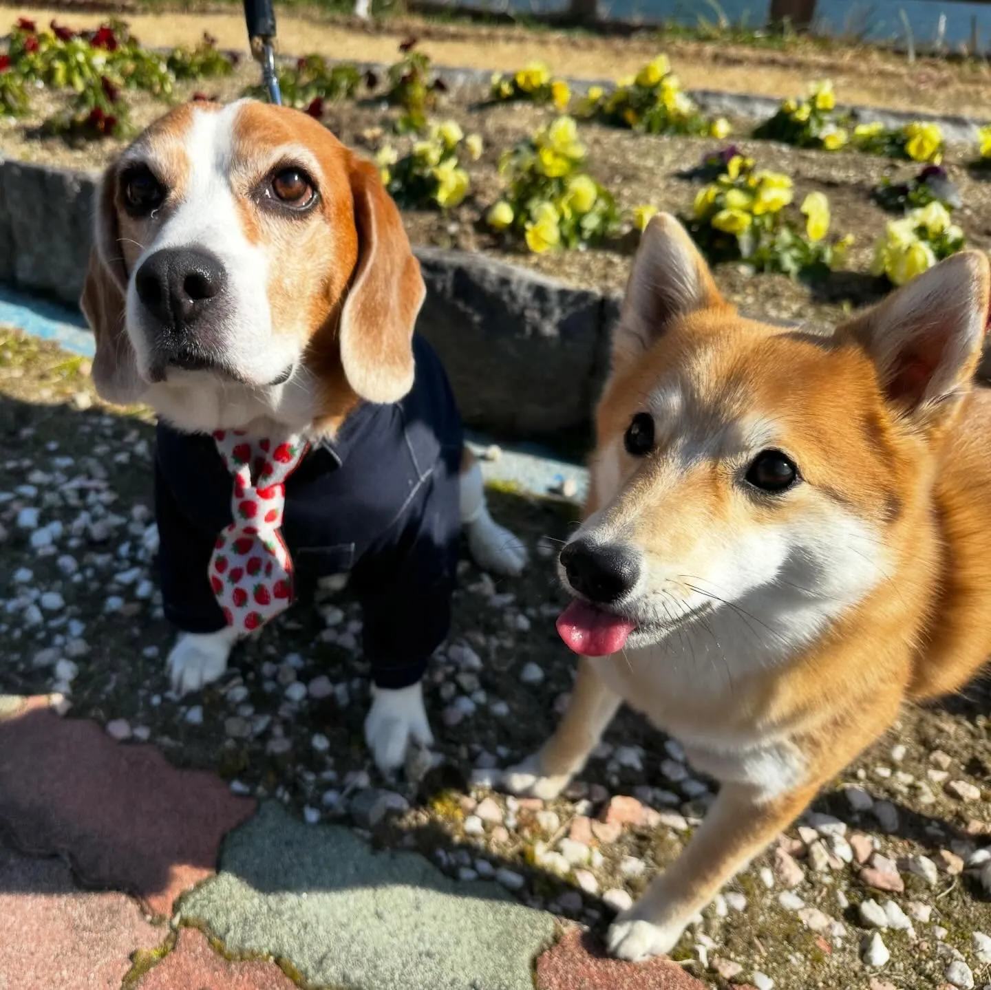 【バレンタインイベント予約受付開始】