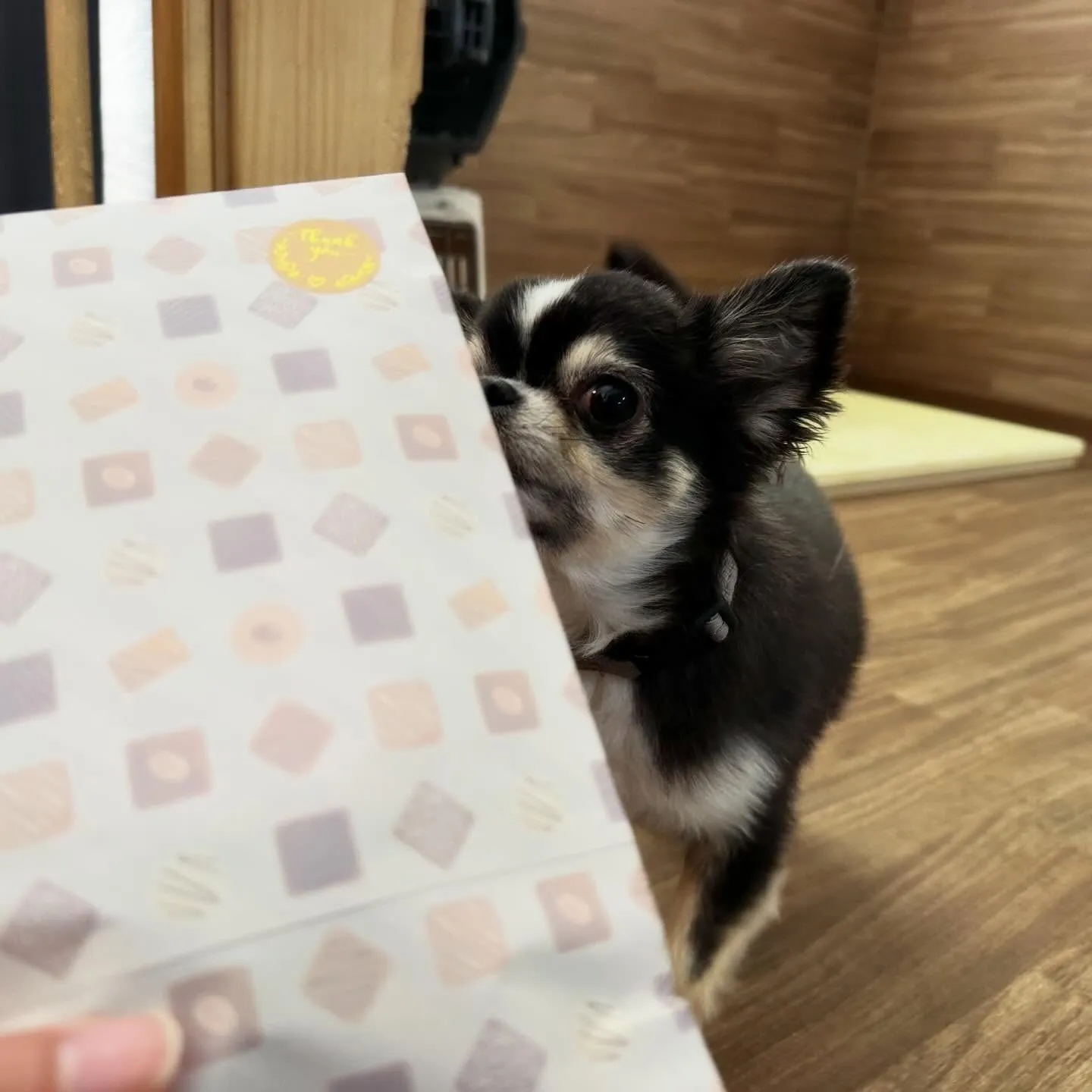 【バレンタインイベント予約受付開始】