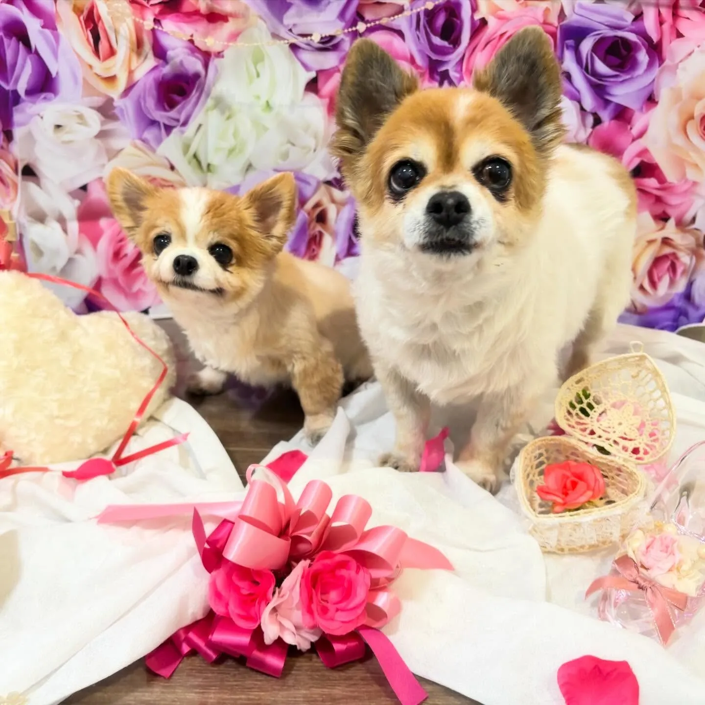 【バレンタインイベント予約受付開始】