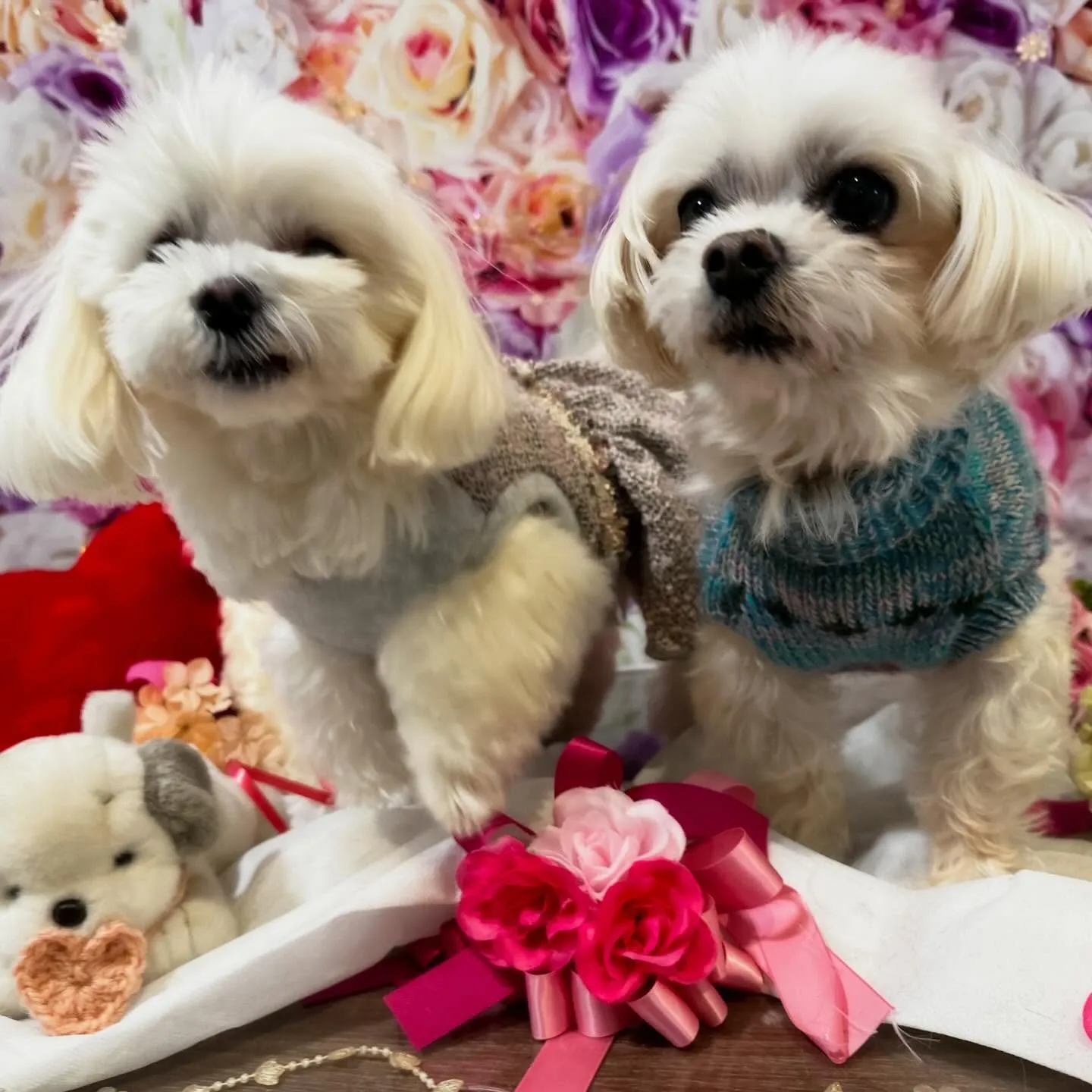 【バレンタインイベント予約受付開始】