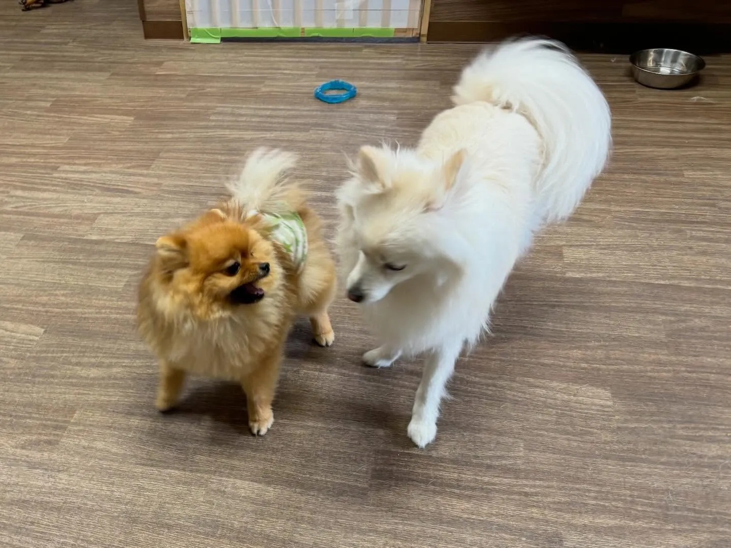 【バレンタインイベント 予約受付終了のお知らせ】