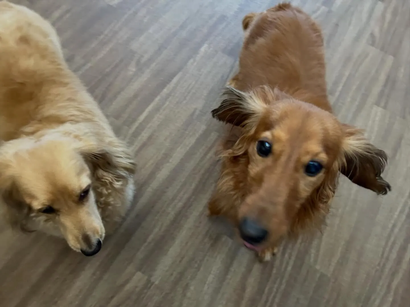 【バレンタインイベント 予約受付終了のお知らせ】