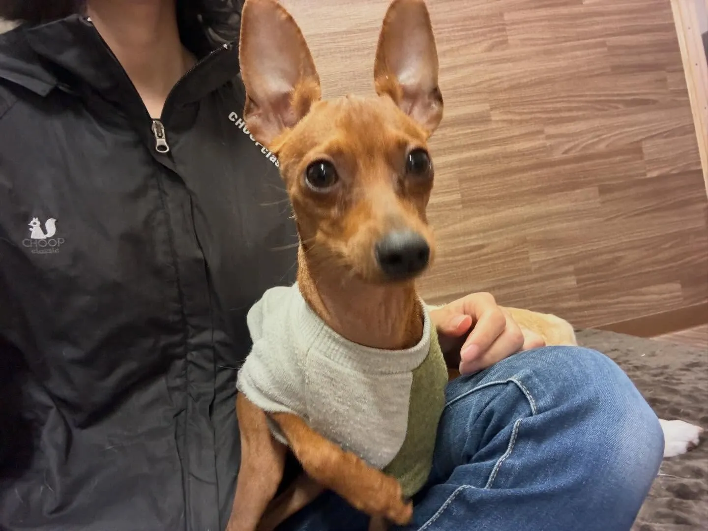 【バレンタインイベント 予約受付終了のお知らせ】