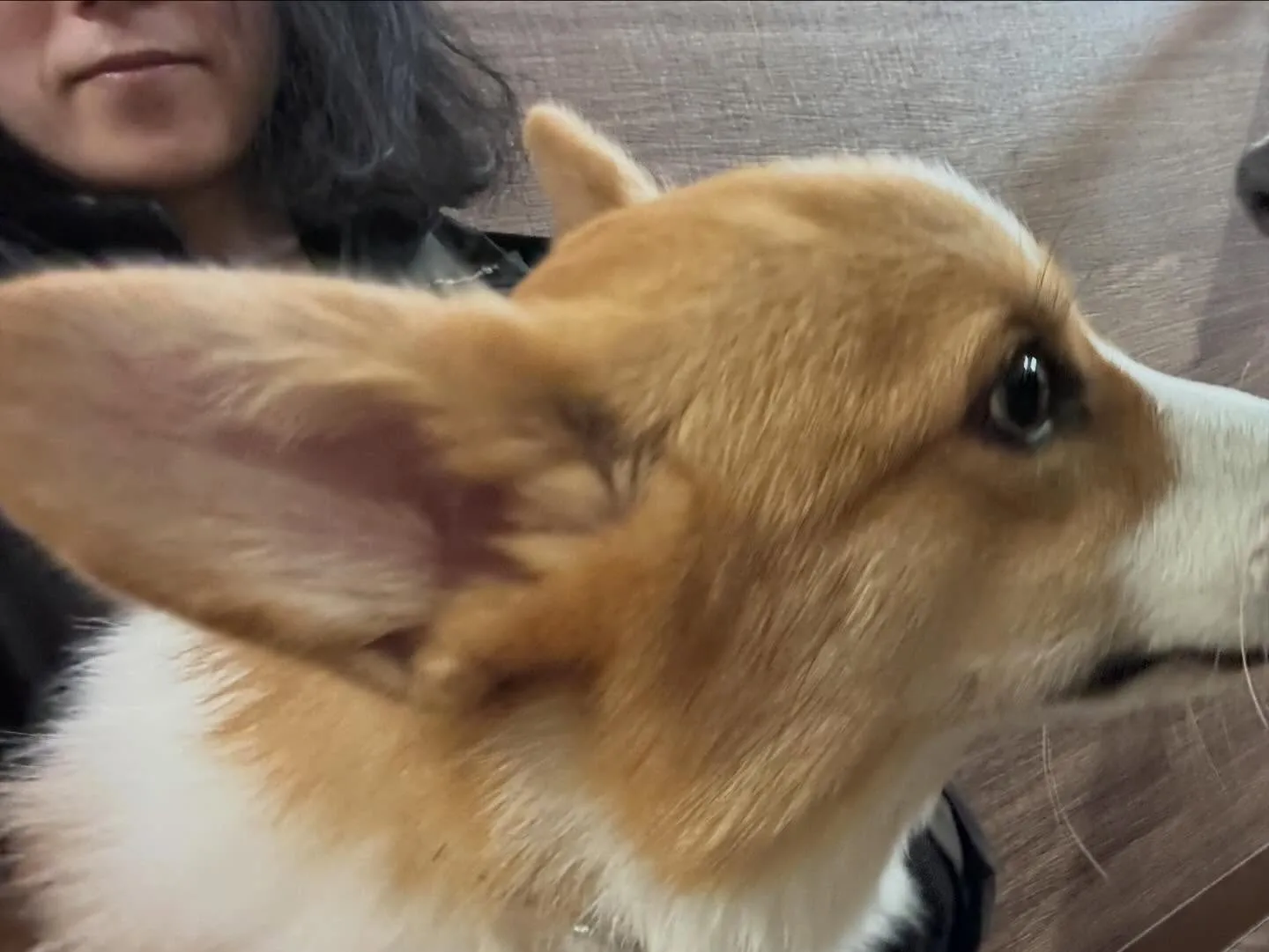 【バレンタインイベント 予約受付終了のお知らせ】