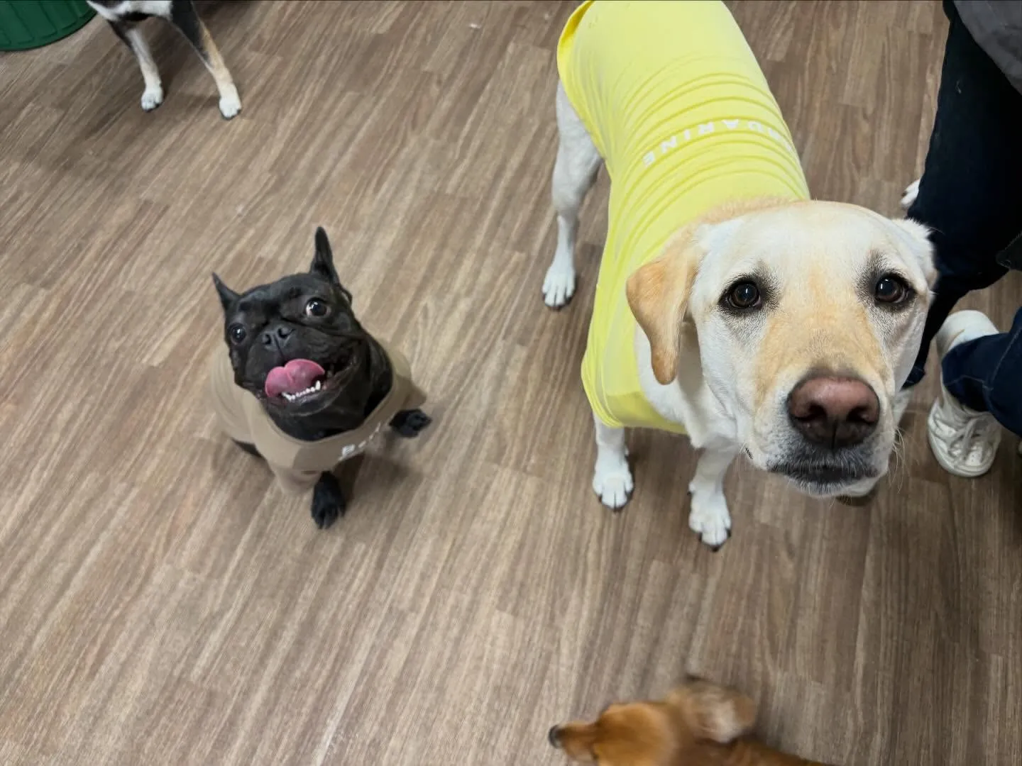 【バレンタインイベント 予約受付終了のお知らせ】