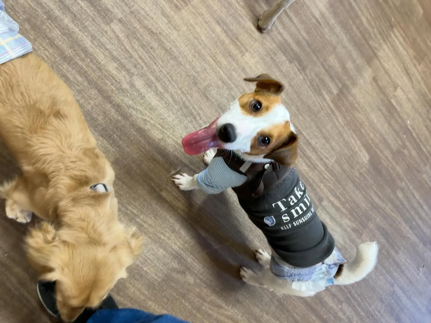 今日(と多分明日)は店舗目の前の信号の工事の関係で、