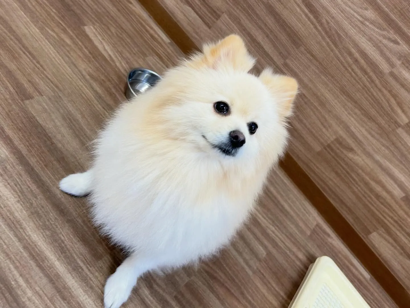 今日(と多分明日)は店舗目の前の信号の工事の関係で、