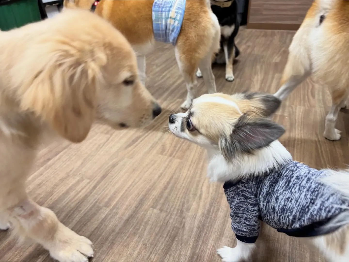 【2月のオススメ商品💕】