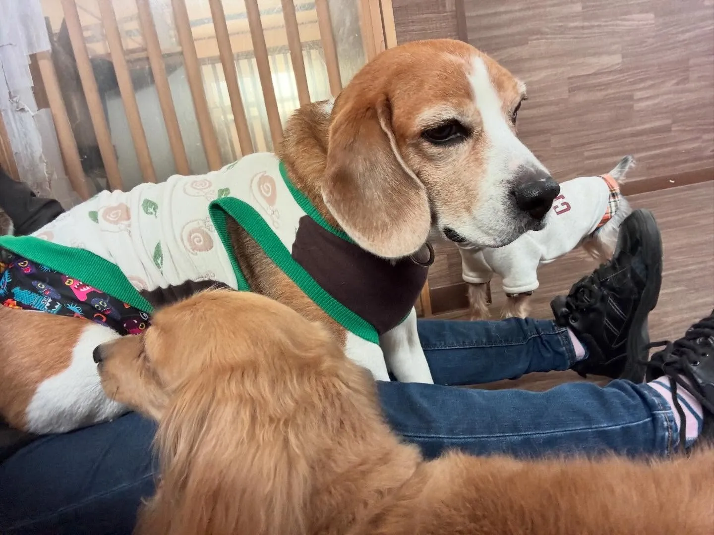 【2月のオススメ商品💕】