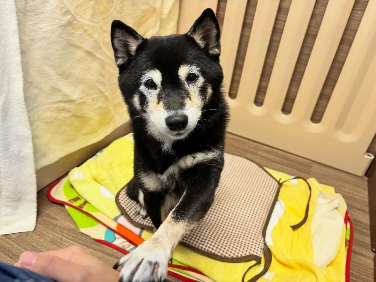 【2月のオススメ商品💕】