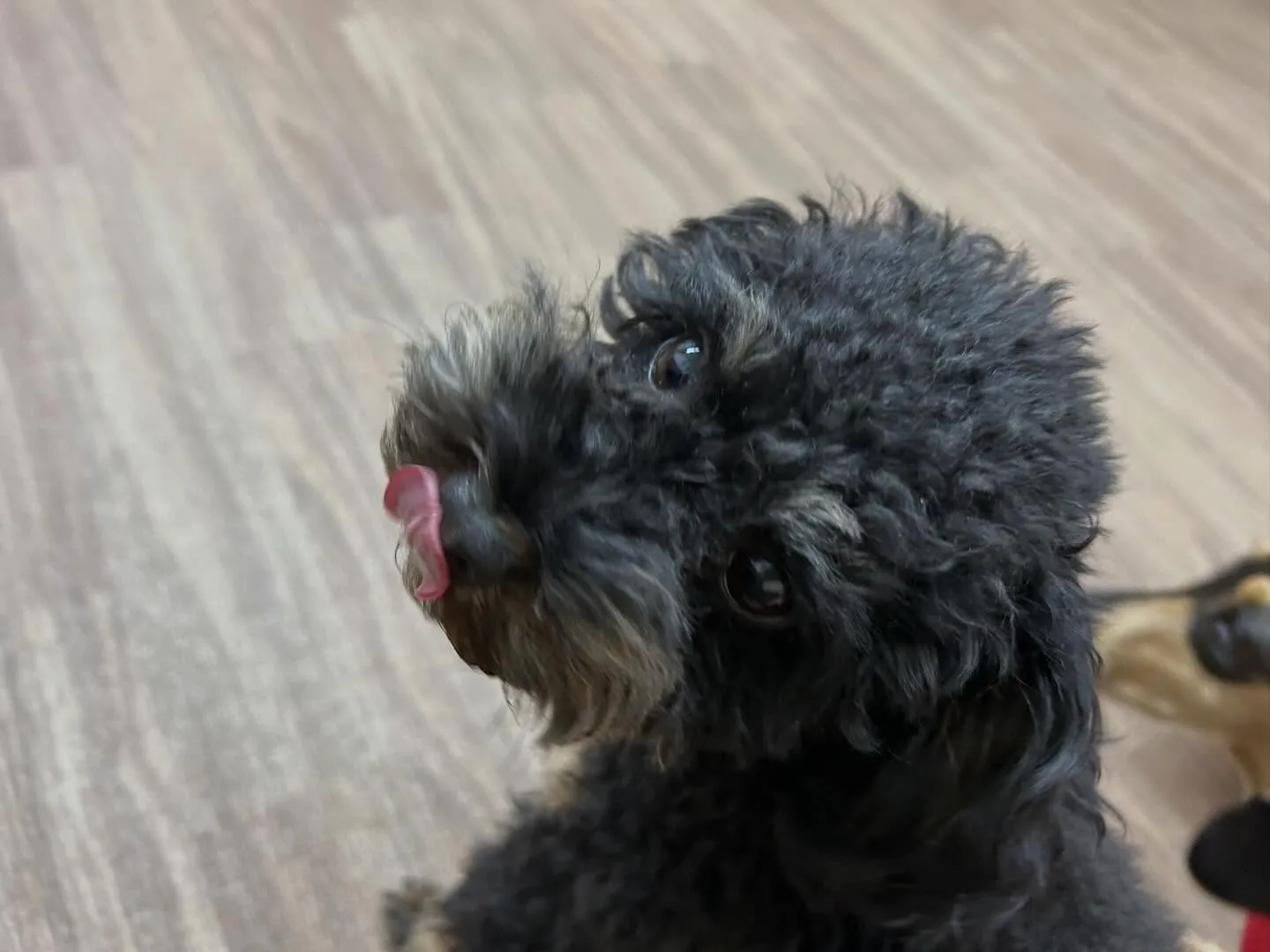 【2月のオススメ商品💕】