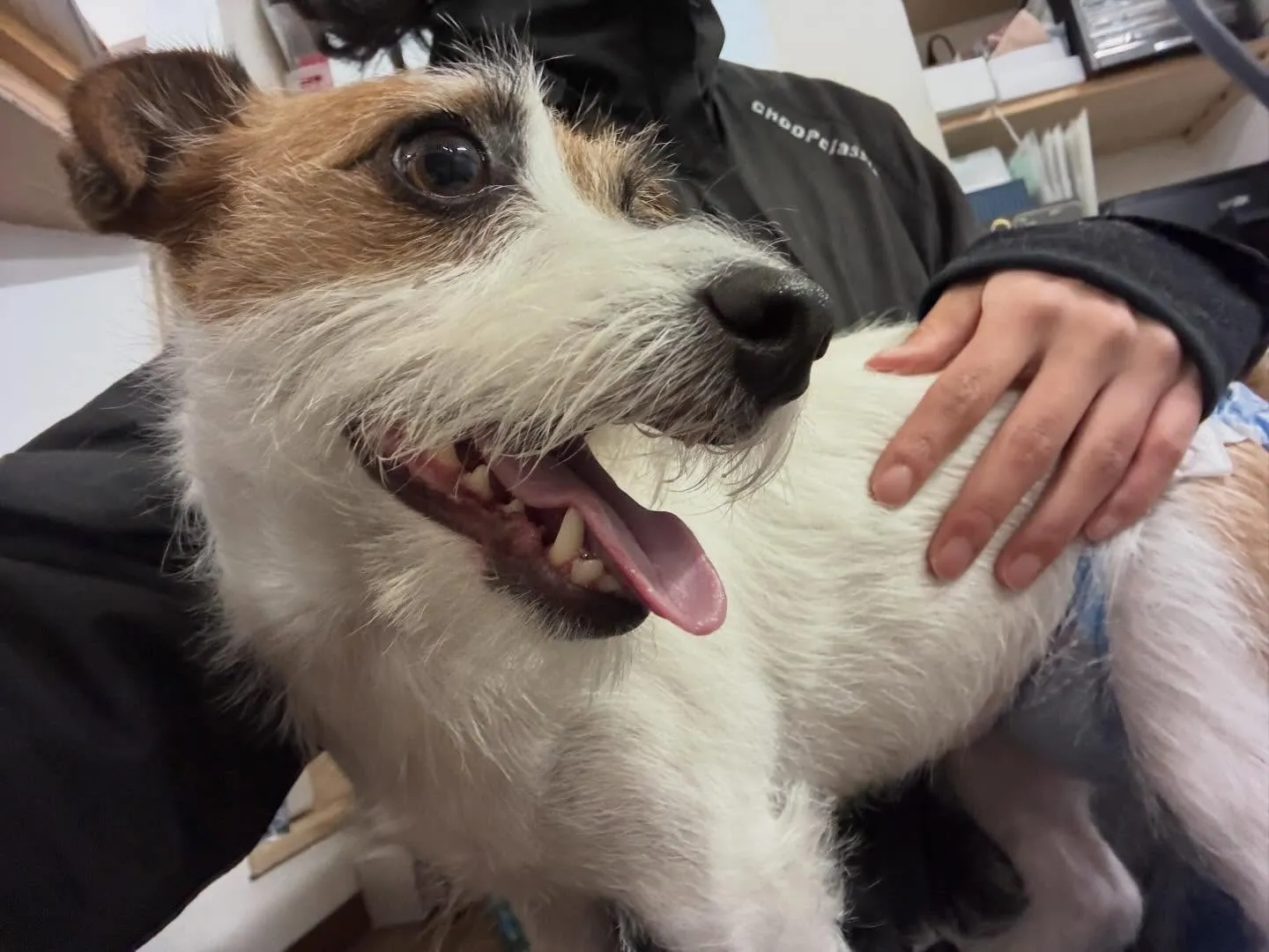 【2月のオススメ商品💕】