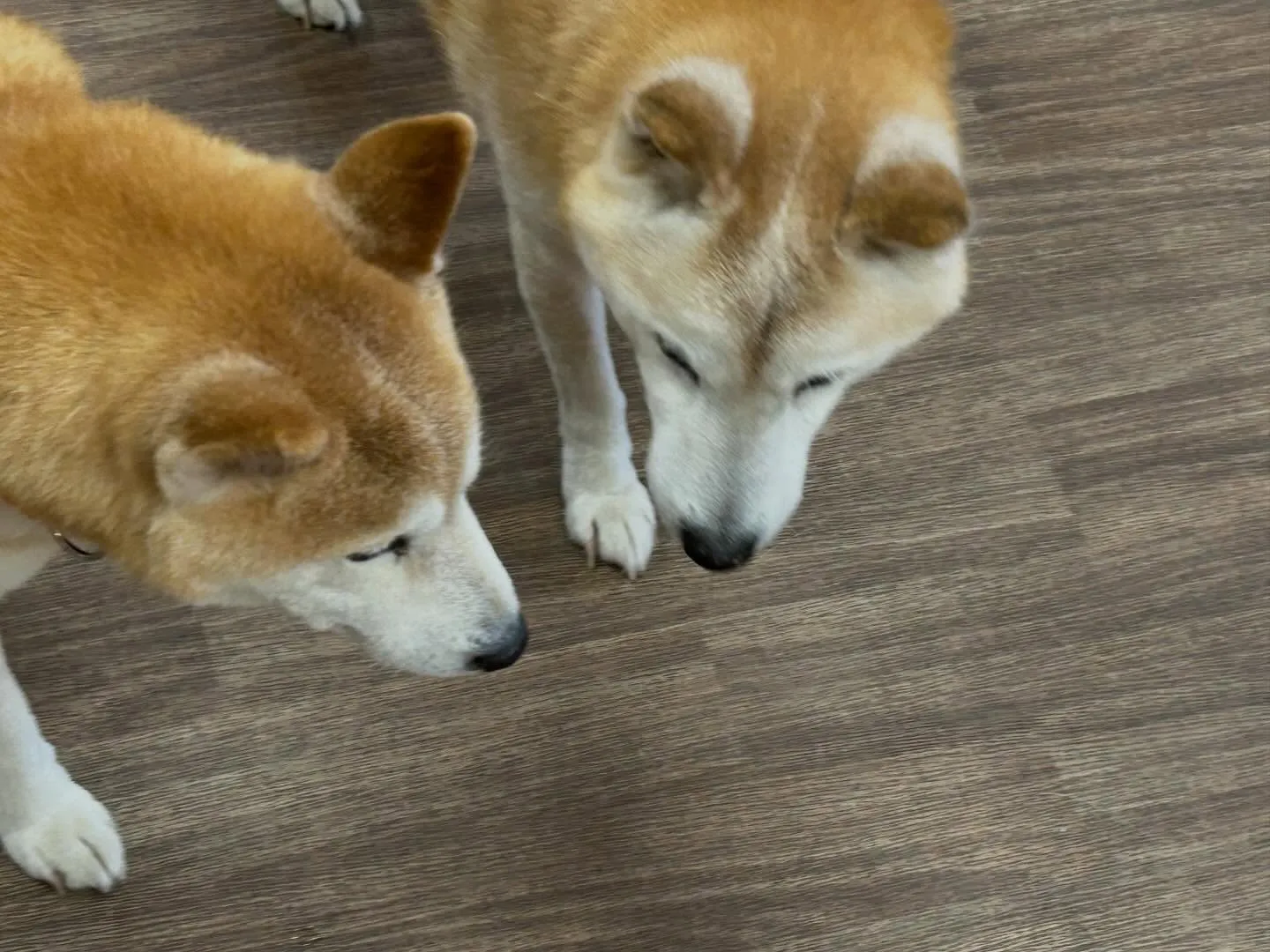 【2月のオススメ商品💕】